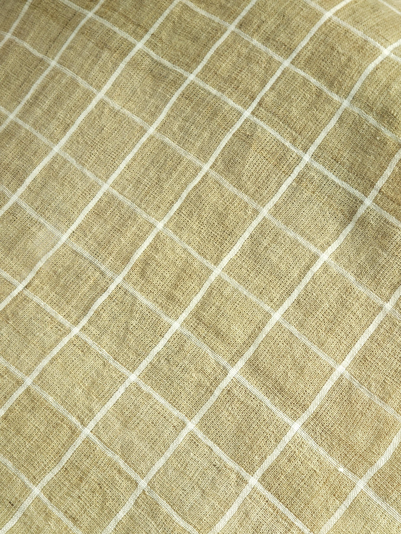Summer Field Grid — source photograph 7, documenting the same textile.