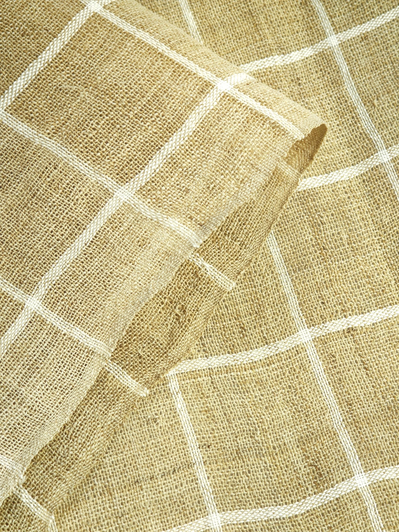 Summer Field Grid