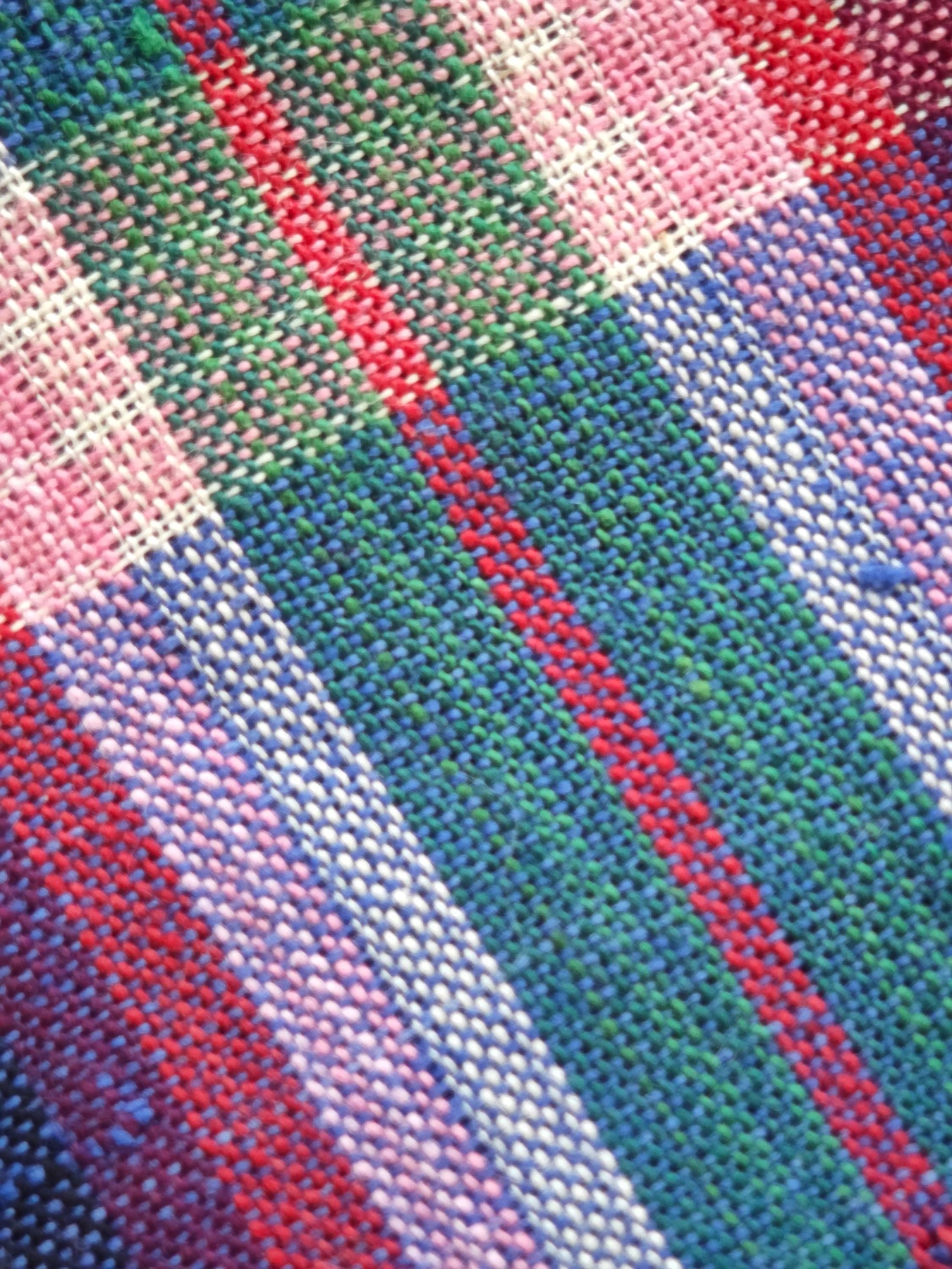 Blue Garden Plaid — source photograph 10, documenting the same textile.